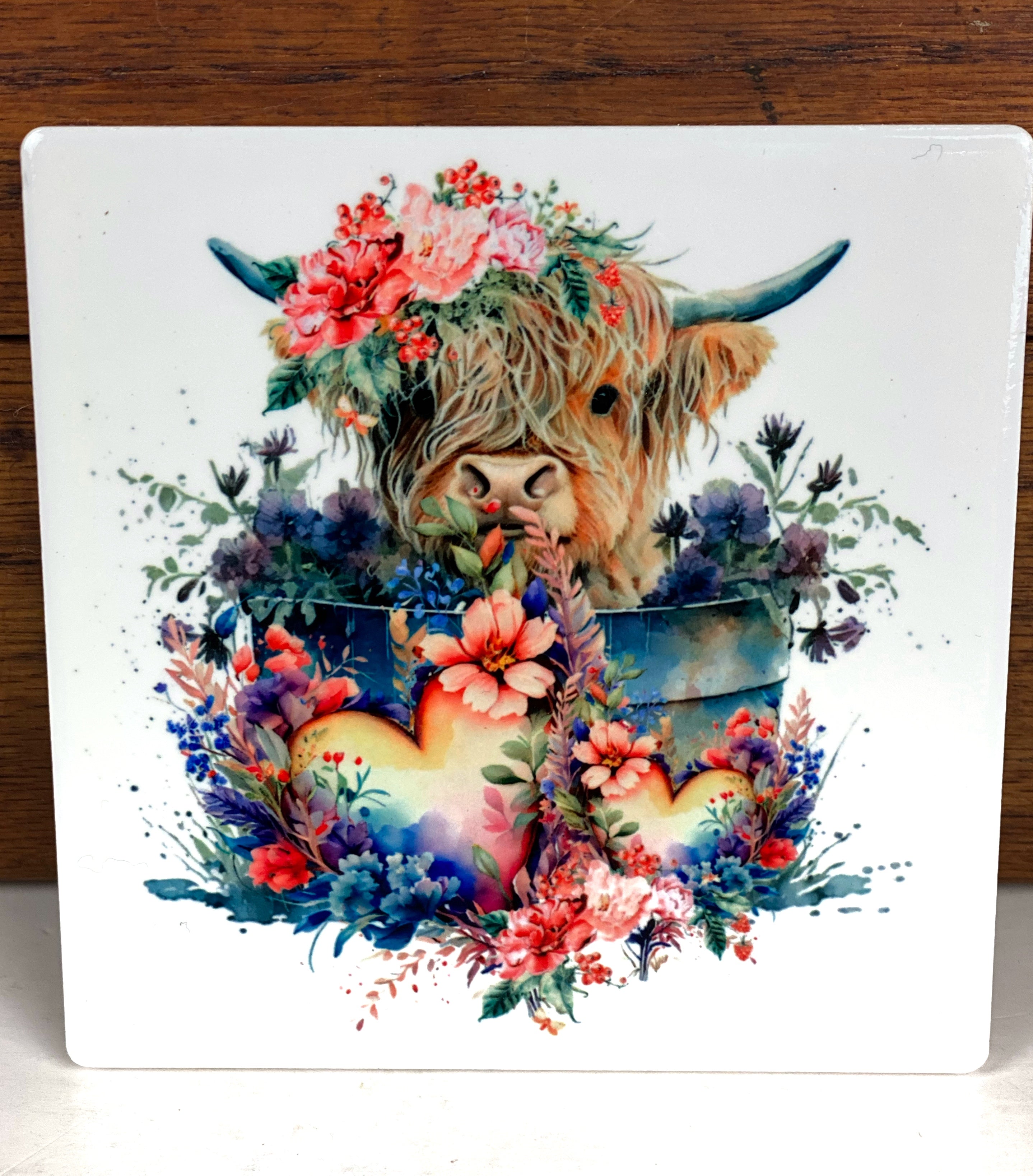 Highland Cow Ceramic Coasters, Sublimation Coaster Set of 2, Farmhouse Decor