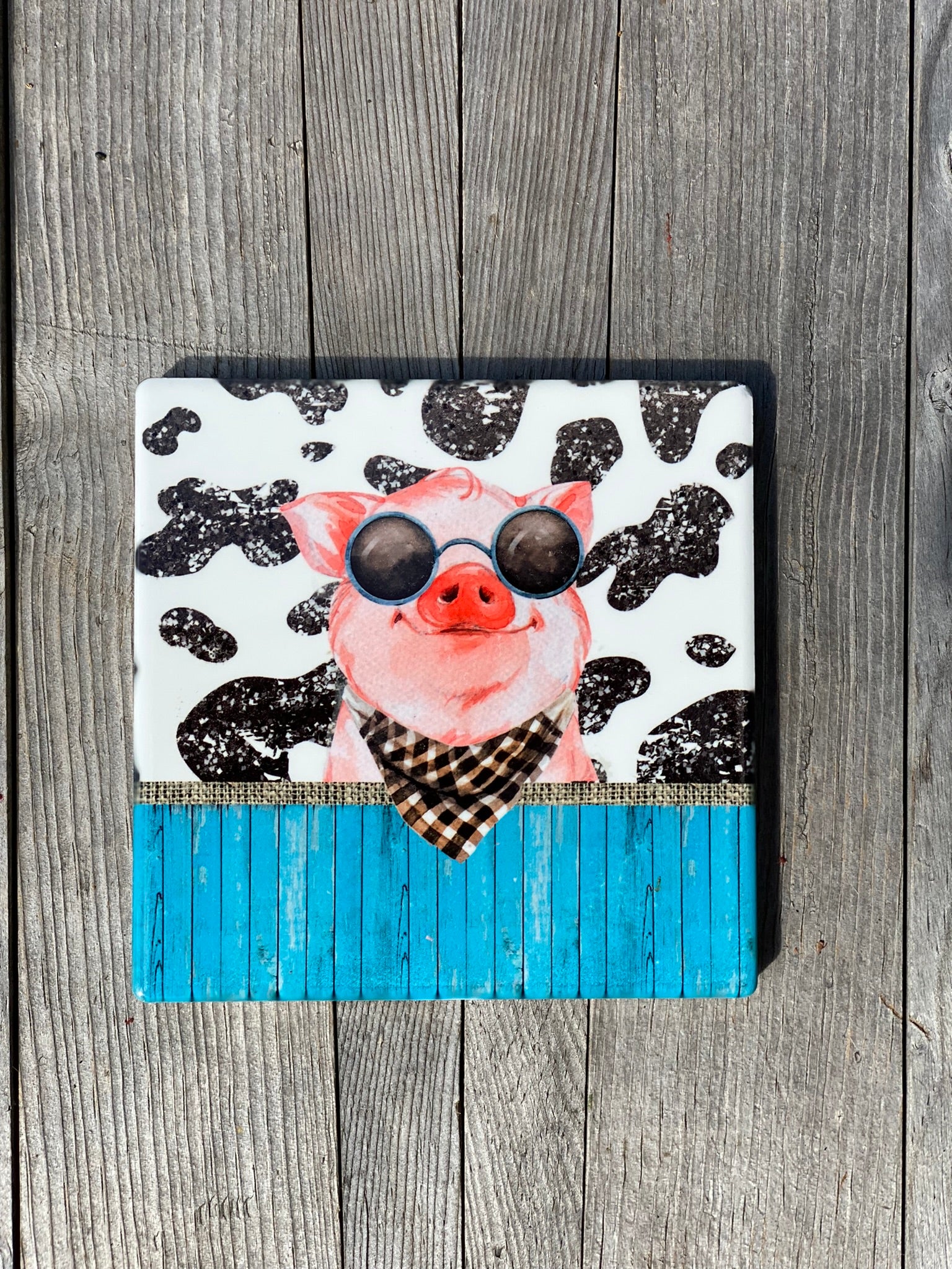 Barnyard Friends Ceramic Sublimation Coasters Pig Cow Ostrich